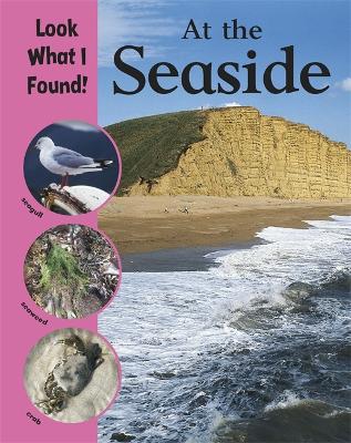 Cover of Look What I Found!: At The Seaside