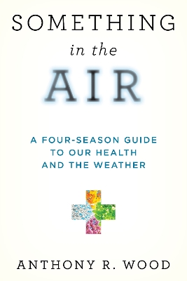 Book cover for Something in the Air