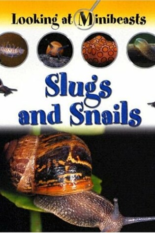 Cover of Slugs and Snails