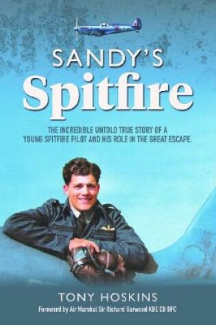 Cover of Sandy's Spitfire (The incredible untold true story of a young Spitfire pilot and his role in the Great Escape.)