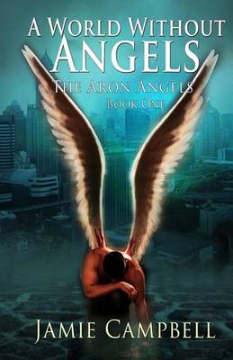 Book cover for A World Without Angels