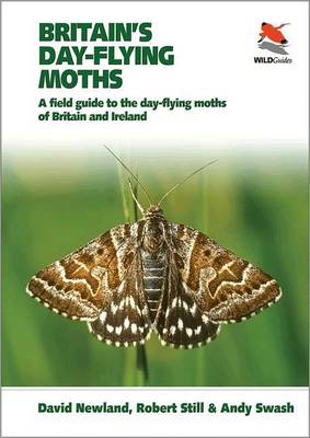 Book cover for Britain's Day-Flying Moths: A Field Guide to the Day-Flying Moths of Britain and Ireland