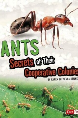 Cover of Ants: Secrets of Their Cooperative Colonies (Amazing Animal Colonies)