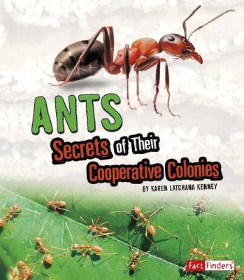 Book cover for Ants: Secrets of Their Cooperative Colonies (Amazing Animal Colonies)