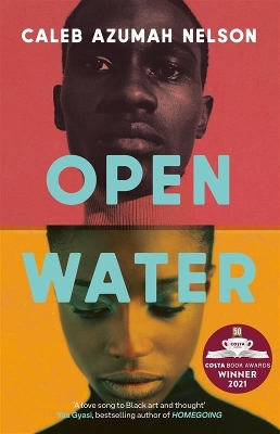 Book cover for Open Water