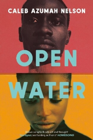 Cover of Open Water