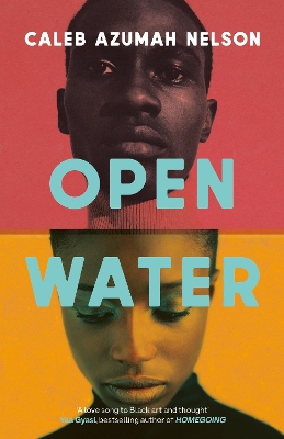 Book cover for Open Water