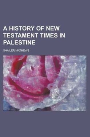 Cover of A History of New Testament Times in Palestine