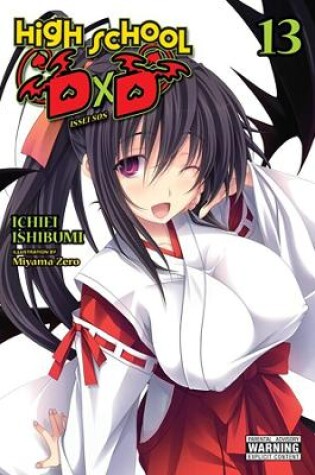 Cover of High School DxD, Vol. 13 (light novel)