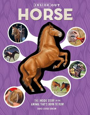 Cover of Inside Out Horse