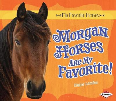 Book cover for Morgan Horses Are My Favorite!