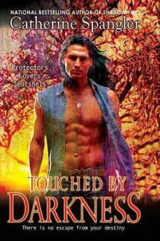 Cover of Touched by Darkness