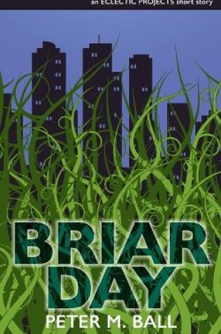 Cover of Briar Day