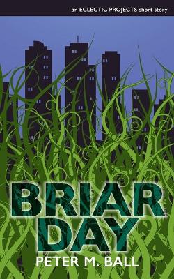 Book cover for Briar Day