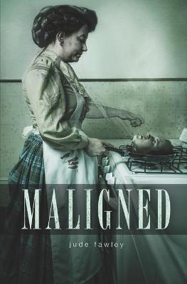 Book cover for Maligned