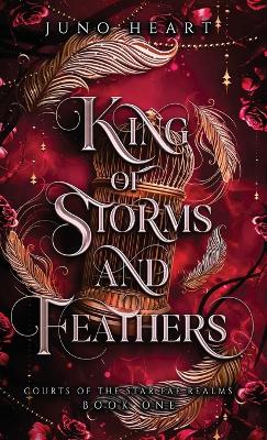 Book cover for King of Storms and Feathers