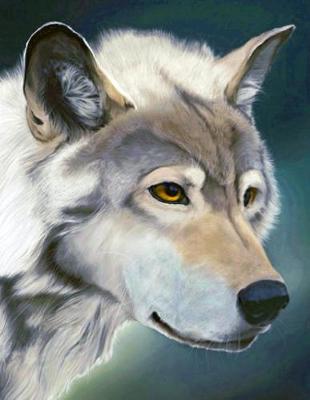 Cover of Wolf Notebook