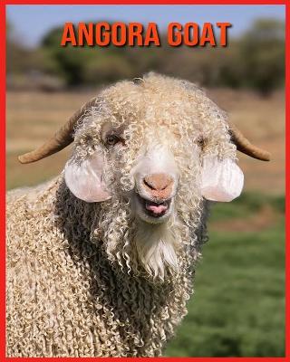 Book cover for Angora Goat