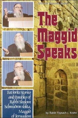 Cover of The Maggid Speaks