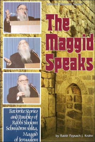 Book cover for The Maggid Speaks