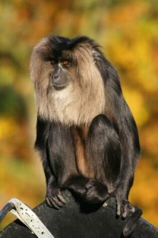 Cover of Lion-Tailed Macaque Monkey Journal