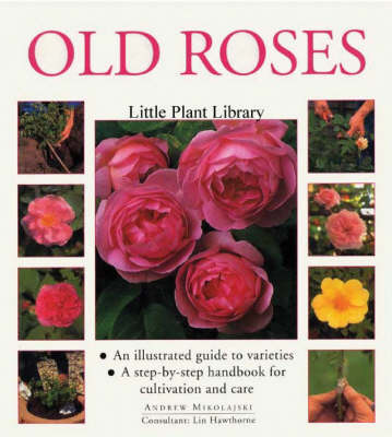 Cover of Old Roses