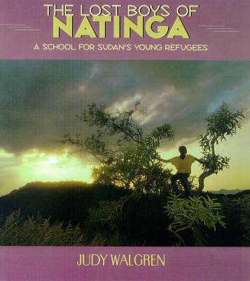 Book cover for The Lost Boys of Natinga