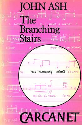 Book cover for The Branching Stairs