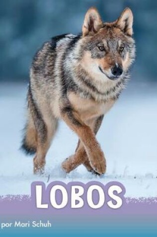Cover of Lobos