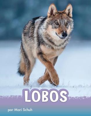 Book cover for Lobos