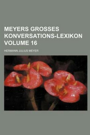 Cover of Meyers Grosses Konversations-Lexikon Volume 16