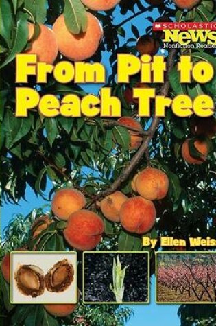 Cover of From Pit to Peach Tree