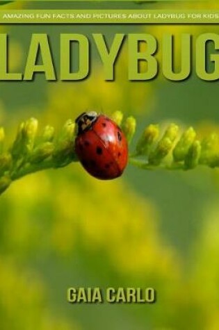 Cover of Ladybug