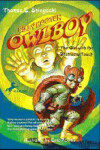 Book cover for Owlboy: The Girl with the Destructo Touch