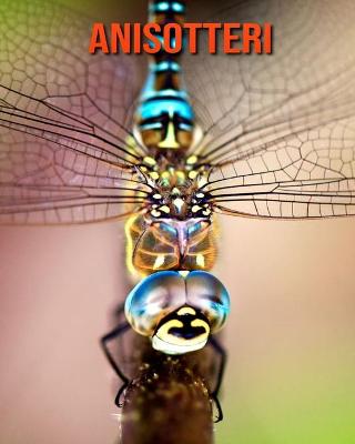 Book cover for Anisotteri
