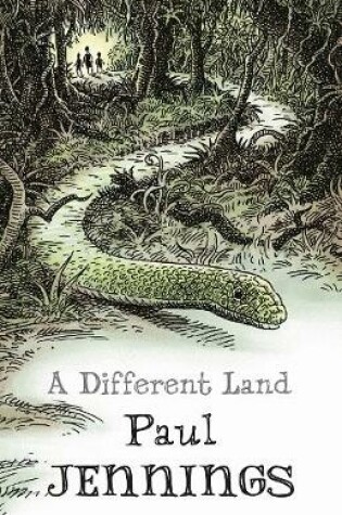 Cover of A Different Land