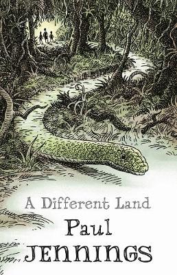 Book cover for A Different Land