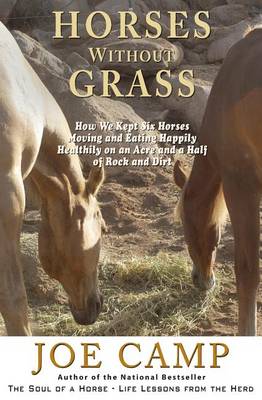 Book cover for Horses Without Grass