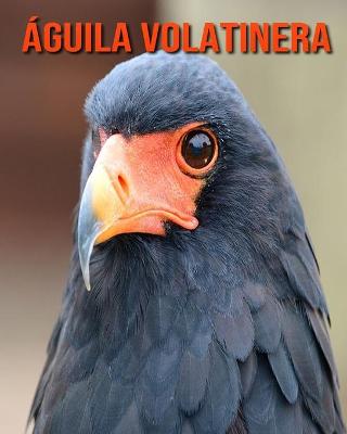 Book cover for Águila volatinera