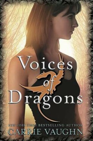 Cover of Voices of Dragons