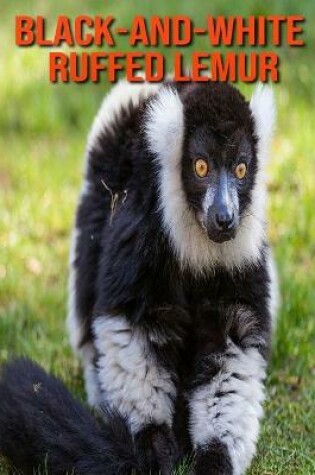 Cover of Black-and-White Ruffed Lemur