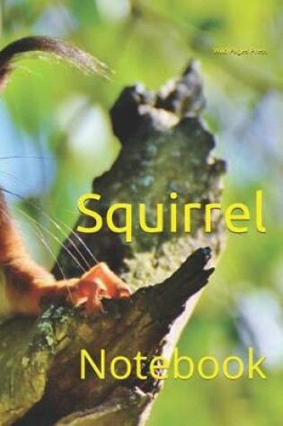 Cover of Squirrel