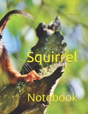 Book cover for Squirrel