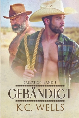 Book cover for Gebändigt