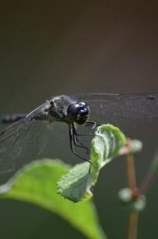 Cover of Dragonfly Landing on a Leaf Journal