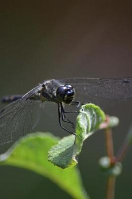 Book cover for Dragonfly Landing on a Leaf Journal