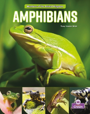 Book cover for Amphibians