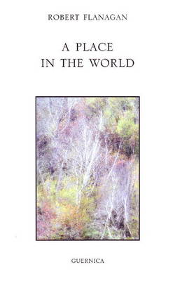 Book cover for Place in the World