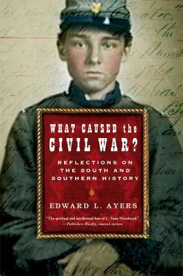 Book cover for What Caused the Civil War?
