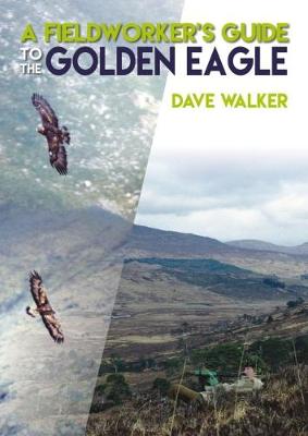 Book cover for A Fieldworker's Guide to the Golden Eagle